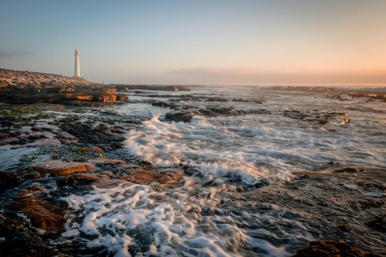 commercial signal discovery analysis